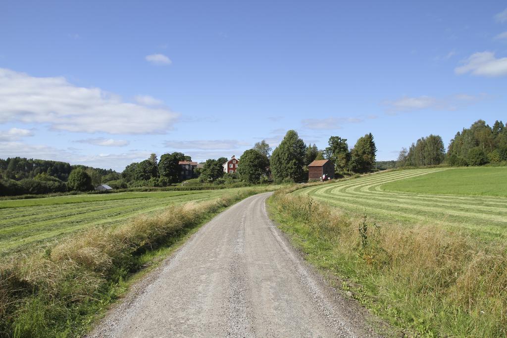 Fraegsta Haelsingegard B&B Näsviken Exterior foto